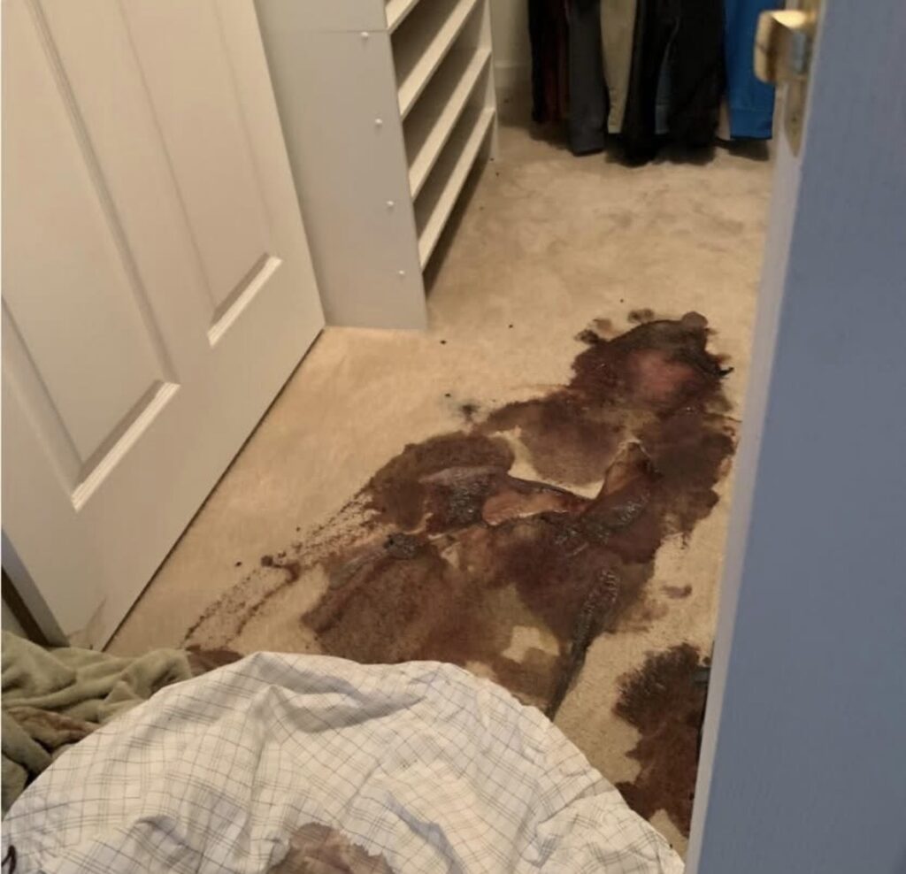 clean up