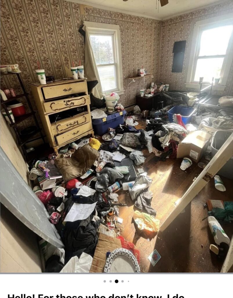 hoarding cleanup