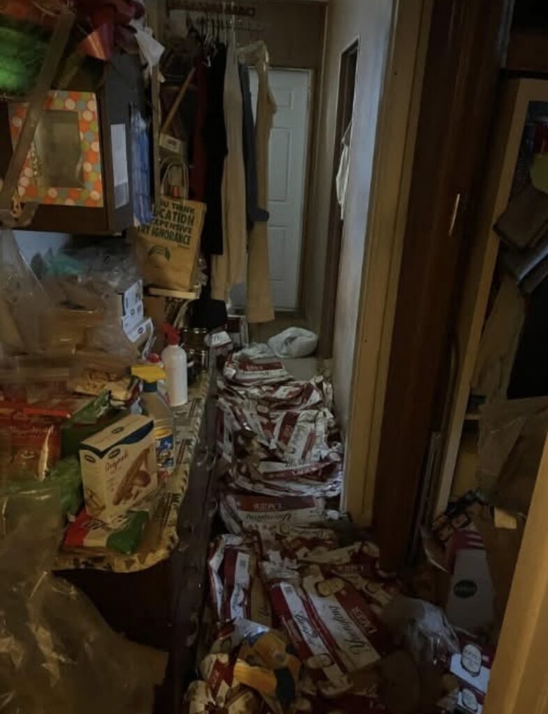 hoarding cleanup